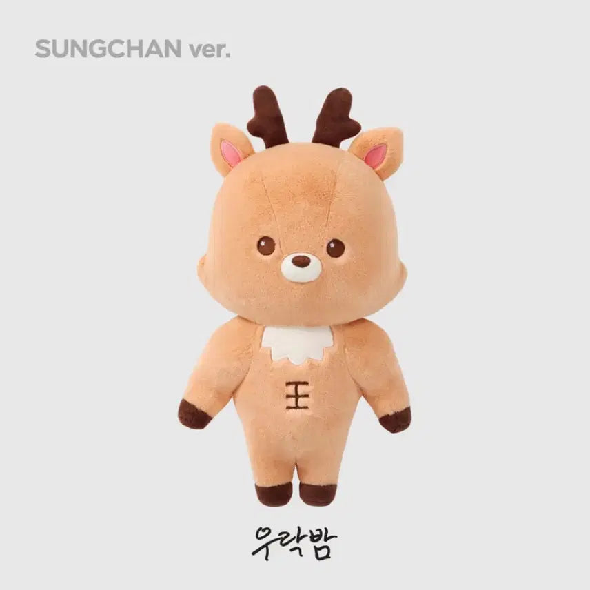 [BUNJANG] RIIZE Sungchan Woori Bam 40cm Plush / 라이즈 성찬 우락밤 40cm