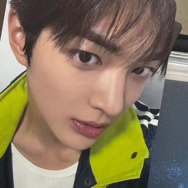 [BUNJANG] CORTIS Keonho Green Green Photocard / CORTIS KEONHO 코르티스 그린그린 건호 공방 포카