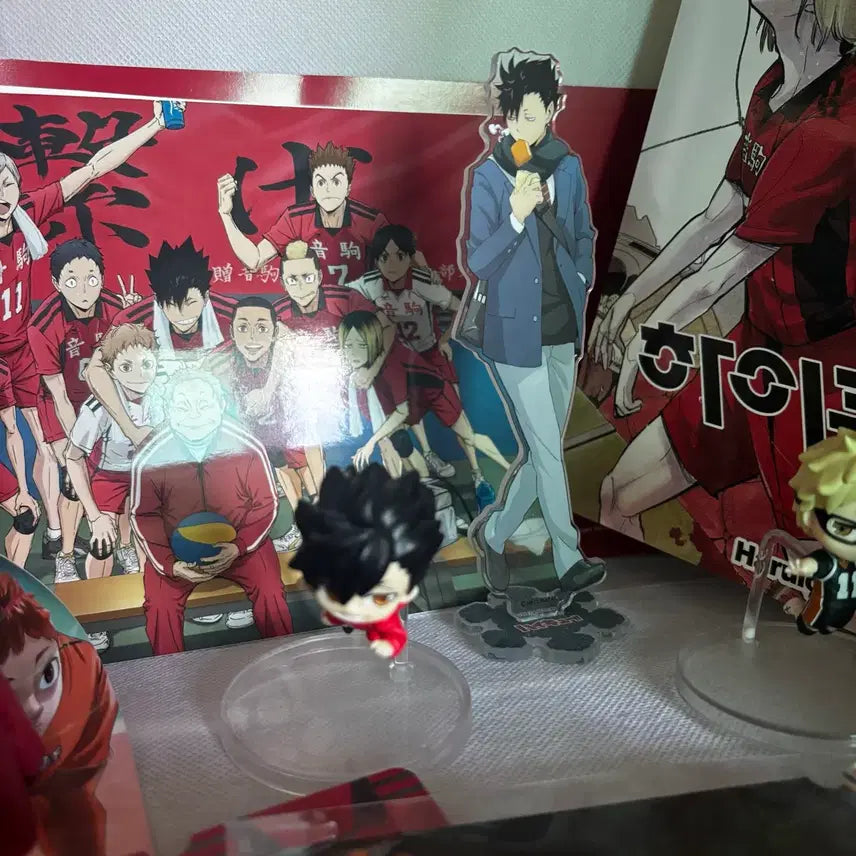 [BUNJANG] Haikyuu!! Merchandise Bundle / 하이큐 굿즈 처분 합니다!