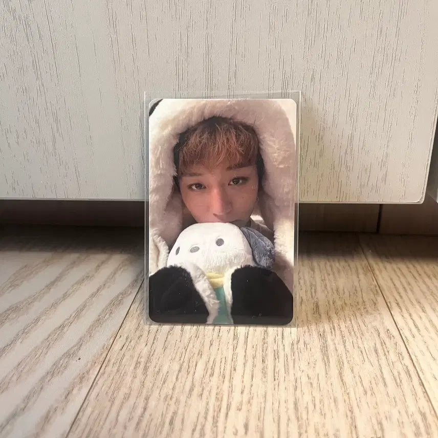[BUNJANG] Park Ji Hoon Reflect POB Photocard / 박지훈리플렉트미공포특전포차코포카 사격소심이인형양도판매교환일괄개별