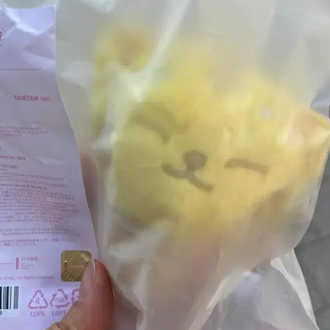 [BUNJANG] SEVENTEEN MINITEEN Ice Cream Face Keyring / 세븐틴 미니틴 탐탐이 아이스크림 페이스키링