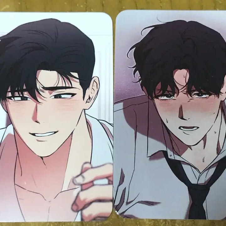 [BUNJANG] Suga Trap Toonique Visit Photocard Bundle Set / 슈가트랩 투니크 방문포카 방포 ,컬포 일괄 판매