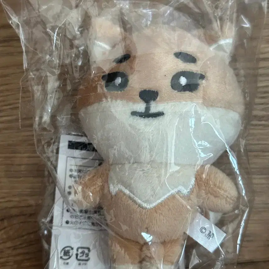 [BUNJANG] Day6 Japan Bag Charm / 데이식스 일본 백참 케 팔아요