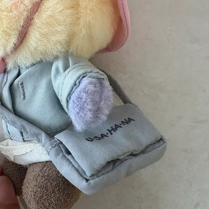 [BUNJANG] Sanrio Usahana Camping Series (China Exclusive) / 우사하나 캠핑 시리즈(중국 한정판)