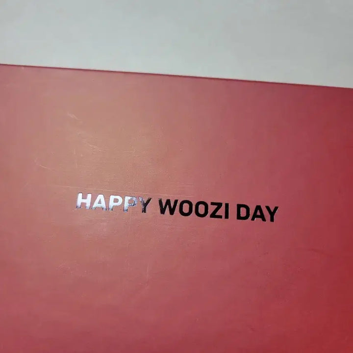 [BUNJANG] SEVENTEEN Woozi Birthday Sunglasses / 세븐틴 우지 생일 선글라스 판매