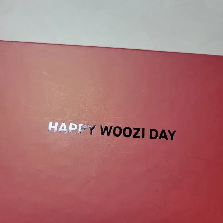 [BUNJANG] SEVENTEEN Woozi Birthday Sunglasses / 세븐틴 우지 생일 선글라스 판매