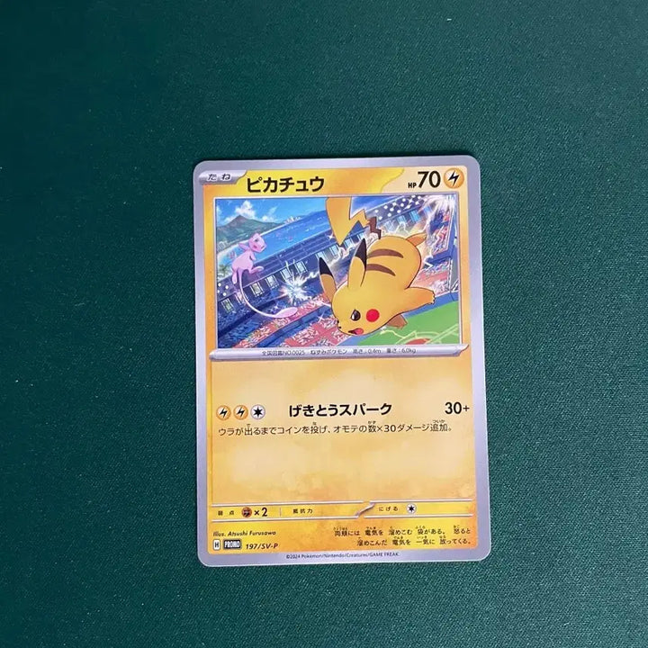[BUNJANG] Pokemon Card Pikachu Gym Promo Set / 포켓몬카드 피카츄 짐 프로모 세트