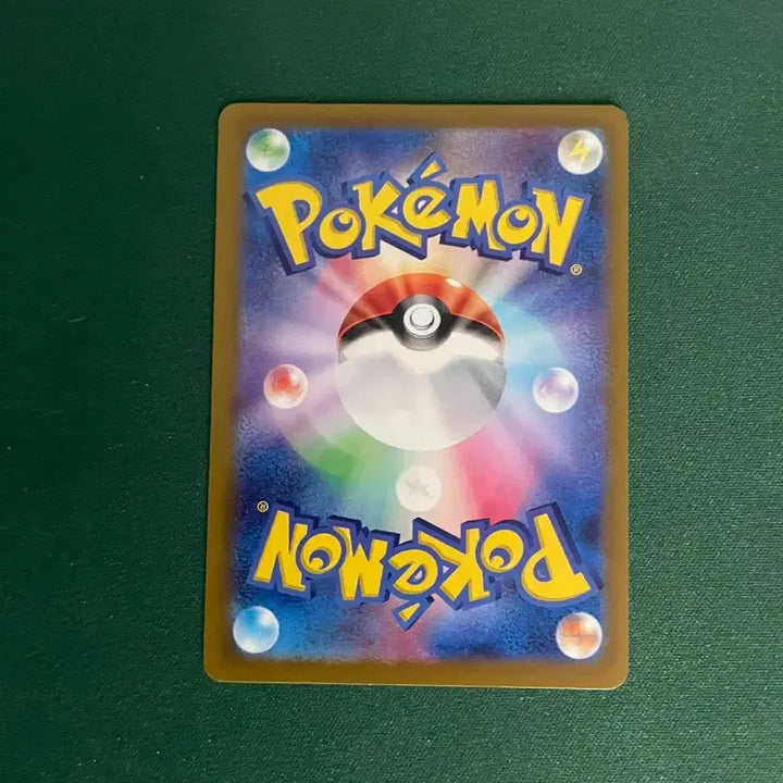 [BUNJANG] Pokemon Card Pikachu Gym Promo Set / 포켓몬카드 피카츄 짐 프로모 세트