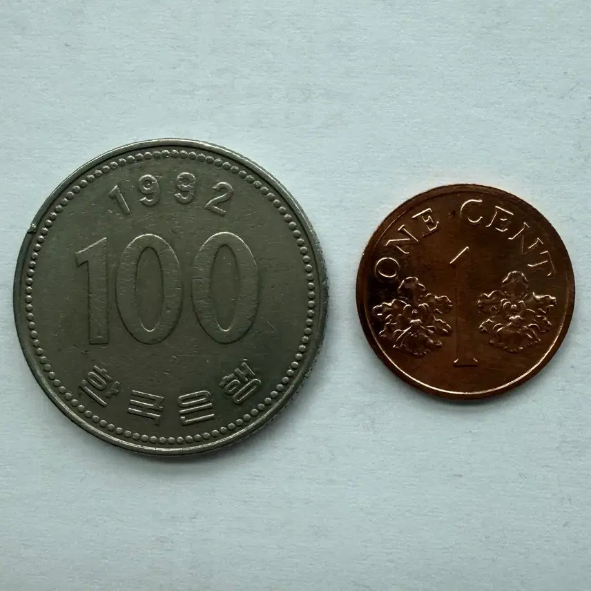 [BUNJANG] 1989 Singapore 1 Cent Coin / 1989년 싱가포르 1센트 동전 S3409
