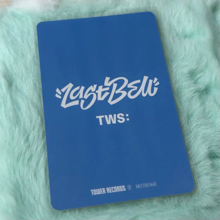 [BUNJANG] TWS Last Bell Tower Records Shinyu Photocard POB / 투어스 라스트벨 타워레코드 신유 포카 양도 미공포 특전 tws
