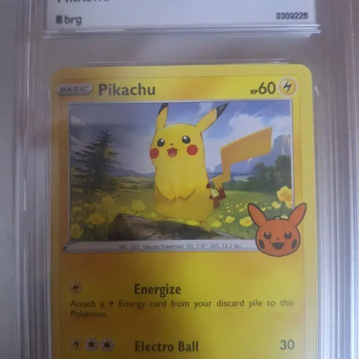 [BUNJANG] Pokemon 2022 Pikachu Trick or Trade Card - Grade 9 Mint / 포켓몬 카드 2022 피카츄 트릭오어트레이드 9등급 민트