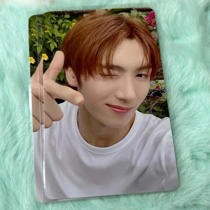 [BUNJANG] TWS Summer Beat Youngjae Universal POB Photocard / 투어스 썸머비트 유니버셜 영재 특전 포카 양도 미공포