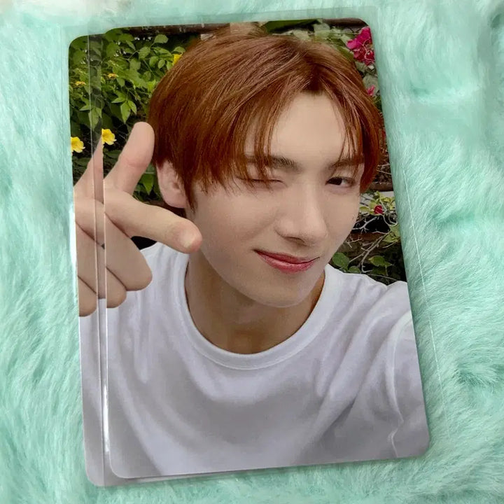 [BUNJANG] TWS Summer Beat Youngjae Universal POB Photocard / 투어스 썸머비트 유니버셜 영재 특전 포카 양도 미공포
