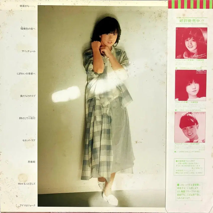 [BUNJANG] Akina Nakamori Fantasy LP / 시티팝 나카모리 아키나 Akina Nakamori-Fantasy LP