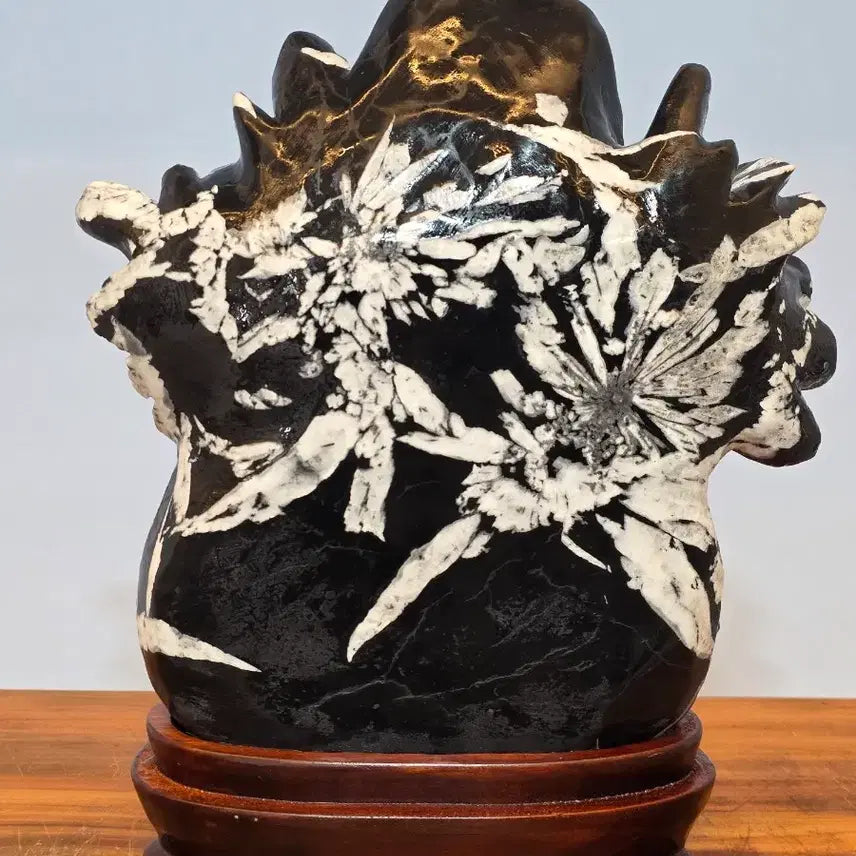 [BUNJANG] Chinese Chrysanthemum Stone Suiseki (24x27.5x7 cm) / 26053034 화려한 화엽을 자랑하는 중국 국화석 수석 팝니다
