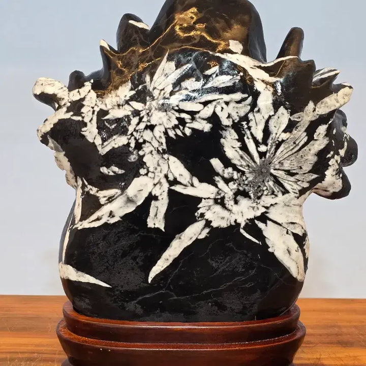 [BUNJANG] Chinese Chrysanthemum Stone Suiseki (24x27.5x7 cm) / 26053034 화려한 화엽을 자랑하는 중국 국화석 수석 팝니다