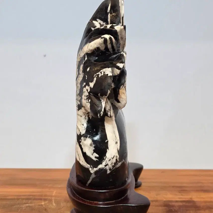 [BUNJANG] Chinese Chrysanthemum Stone Suiseki (24x27.5x7 cm) / 26053034 화려한 화엽을 자랑하는 중국 국화석 수석 팝니다