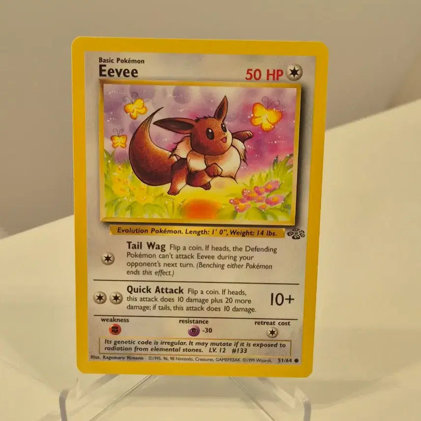 [BUNJANG] Pokemon Cards Bundle Set (North American Edition) / 북미 포켓몬카드 블래키 등 22개 일괄