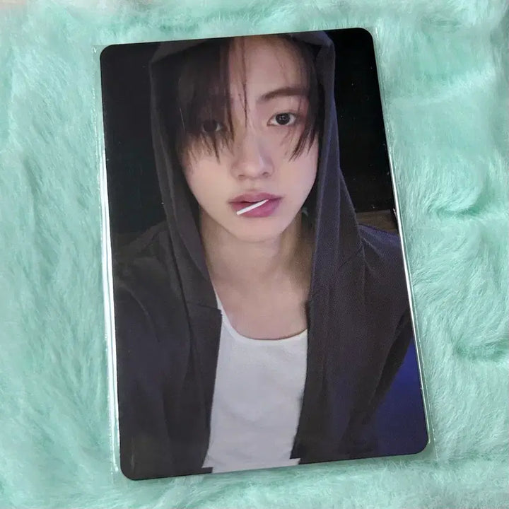 [BUNJANG] CORTIS Umber Seonghyeon Photocard Lucky Draw / 코르티스 위버스재팬 성현 포카 럭드 양도 그린그린 엄성현 럭키드로우