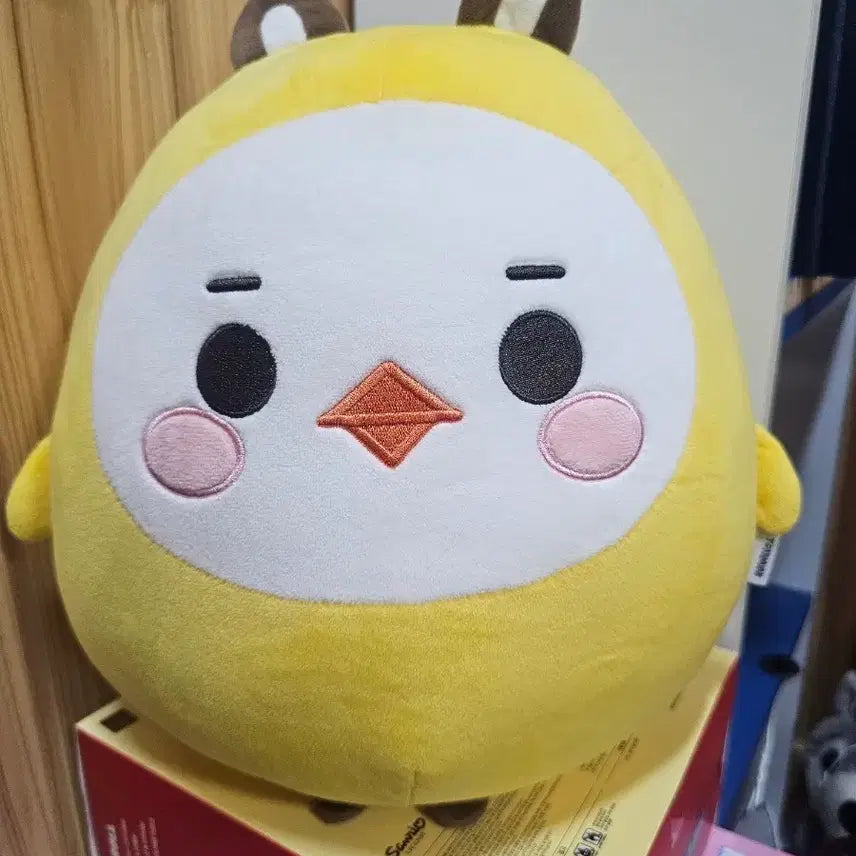 [SOLD OUT] 초급전)빅톤 최병찬 토니미니 대왕 치피