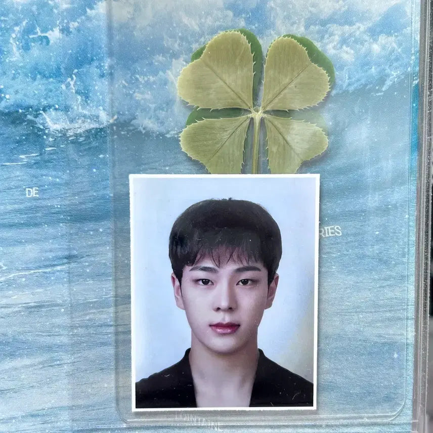 [BUNJANG] Hwibee Kim Junmin Photocard / 휘브 김준민 증사