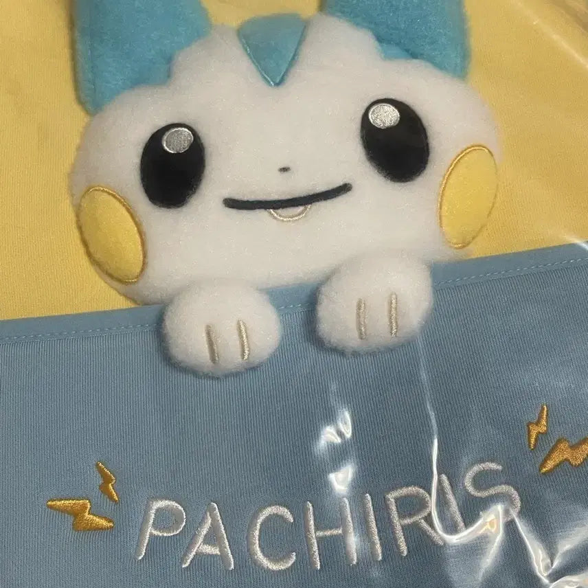 [BUNJANG] Pokemon Ditto Pop-up Pachirisu Multi Pouch / 포켓몬스터 메타몽 팝업 파치리스 멀티 파우치