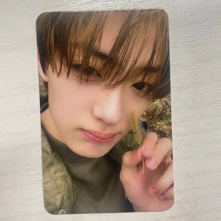 [BUNJANG]  LDH One Sanghyun Workshop Photocard / 알디원 상현 공방 포카