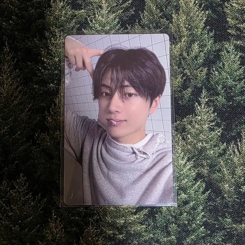 [BUNJANG] ENHYPEN Jay Daydream Japan Photocard / 엔하이픈 제이 데이드림 재팬 포카