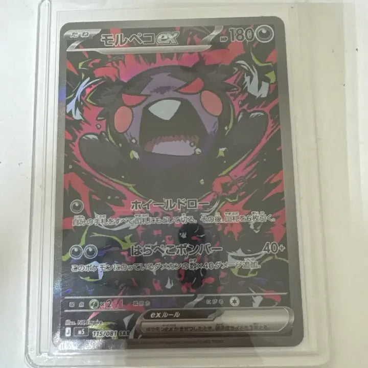 [BUNJANG] Morpeko SAR Japanese Version Trading Card / 모로페코sar 일판