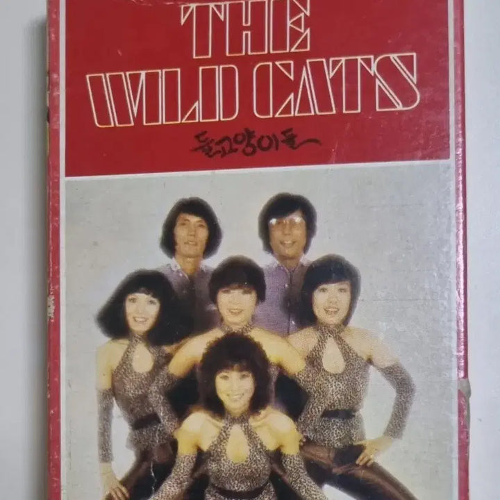 [BUNJANG] Wild Cats &