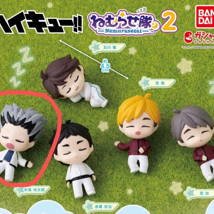 [BUNJANG] Haikyuu!! Nemuriasei Sleepy Line Bokuto Gacha Figure / 하이큐 네무라세타이 잠자는 대열 보쿠토 가챠 피규어