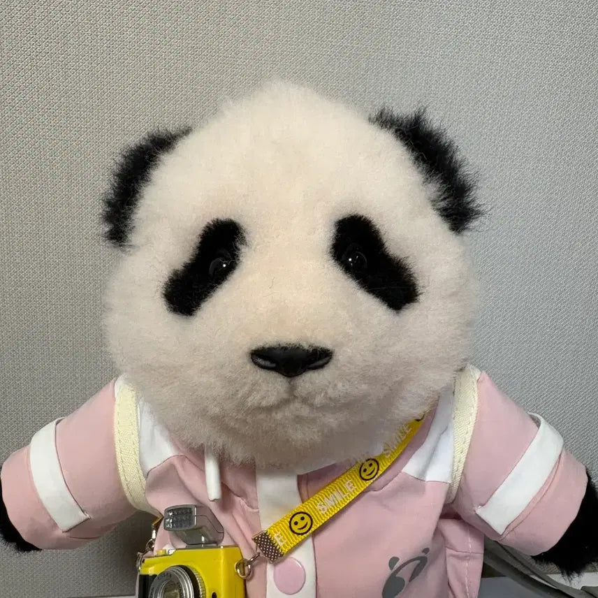 [BUNJANG] Panda Factory Genuine Sunsalpu Plush / 판다팩토리 정품) 순살푸 상태굿 저렴하게드림 득템하세요!