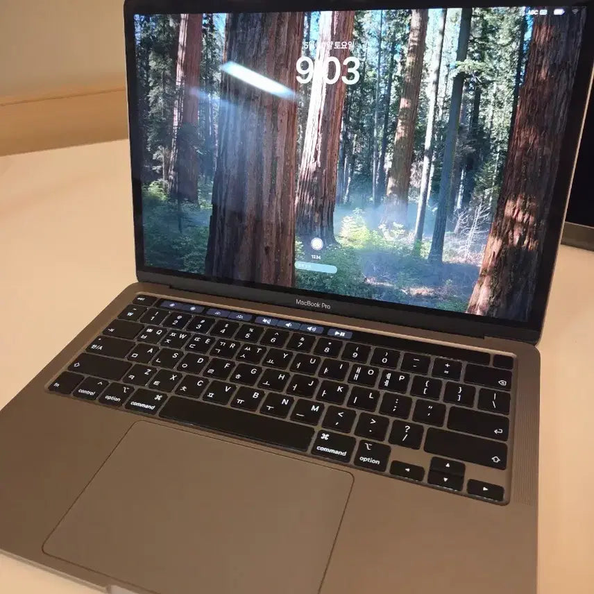 [BUNJANG] Apple MacBook Pro 13-inch i5 1TB 16GB / 애플 맥북프로 13인치 i5 1TB 16GB