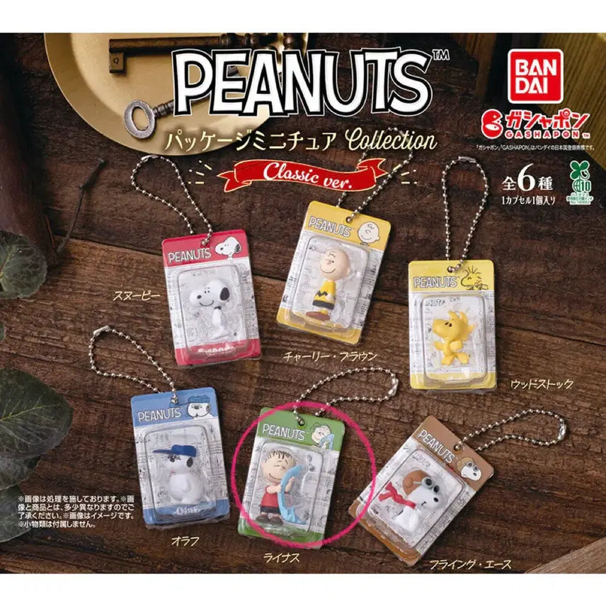 [BUNJANG] Snoopy Package Gacha (Sealed) / 스누피 패키지 가챠 (미개봉)
