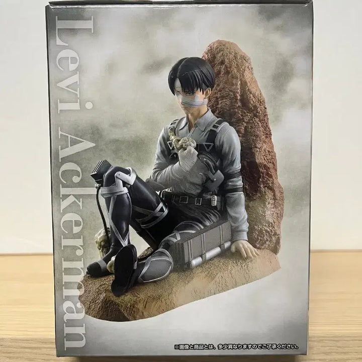 [BUNJANG] Attack on Titan Levi &
