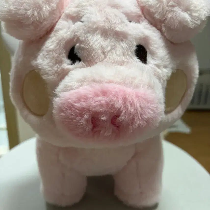 [BUNJANG] Pink Pig Plush Set (2 Pieces) / 핑크색 돼지 인형 2개 세트