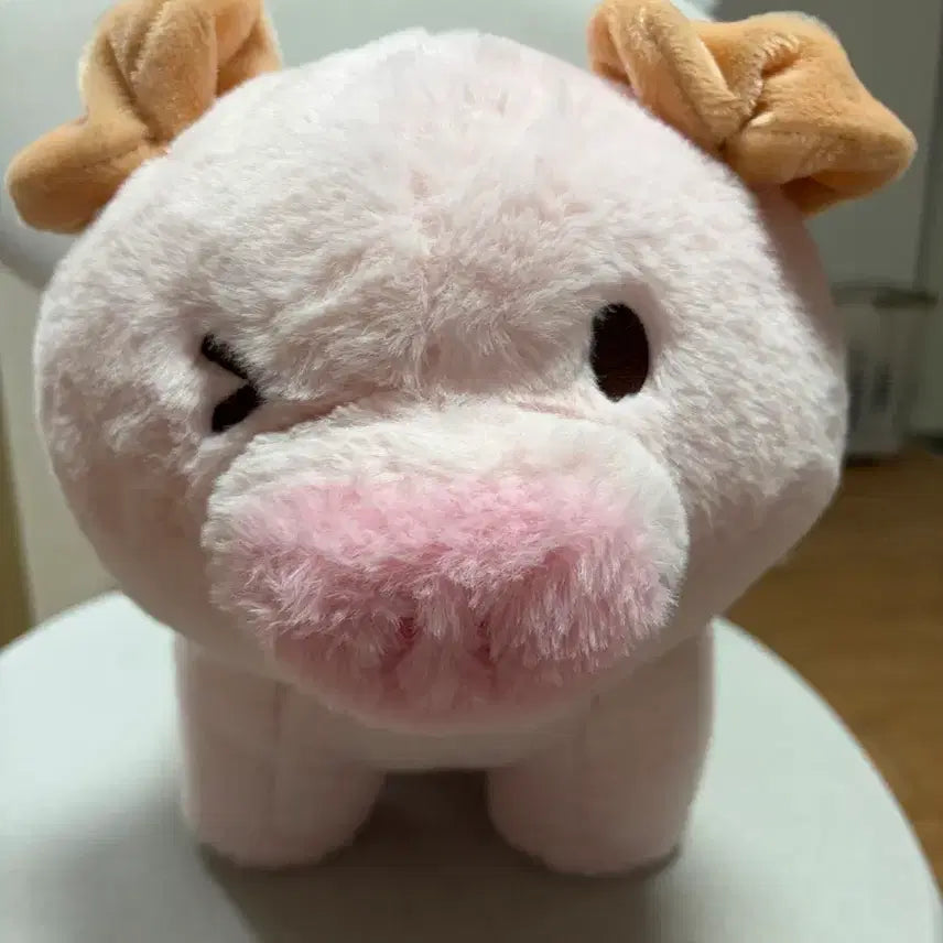 [BUNJANG] Pink Pig Plush Set (2 Pieces) / 핑크색 돼지 인형 2개 세트