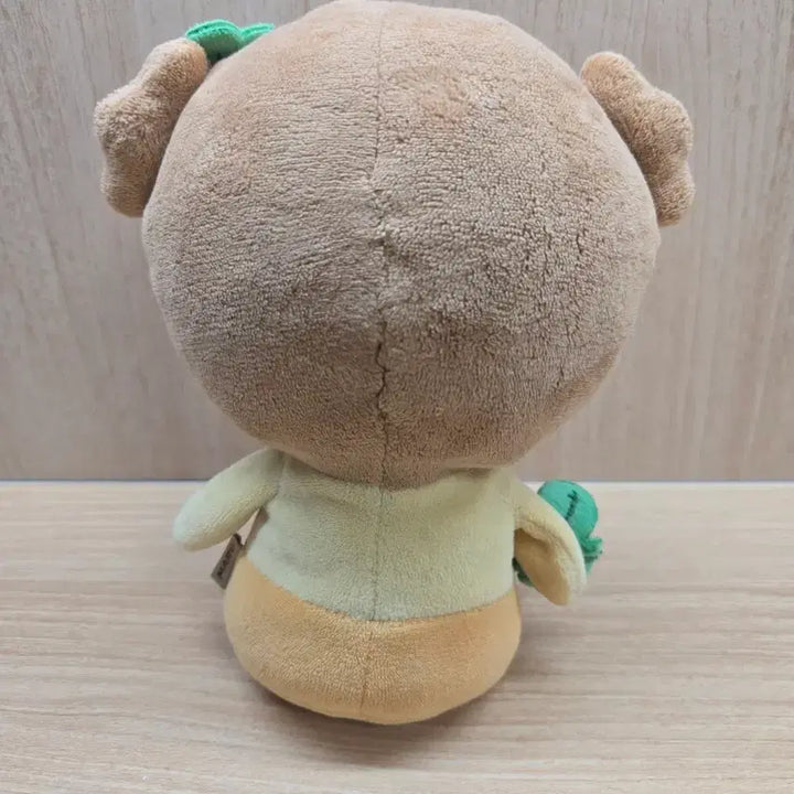 [BUNJANG] Maru is a Dog Goods Set (Keyring, Photocard, Plush, etc.) / 마루는강쥐 굿즈세트 (키링,포카,인형등)
