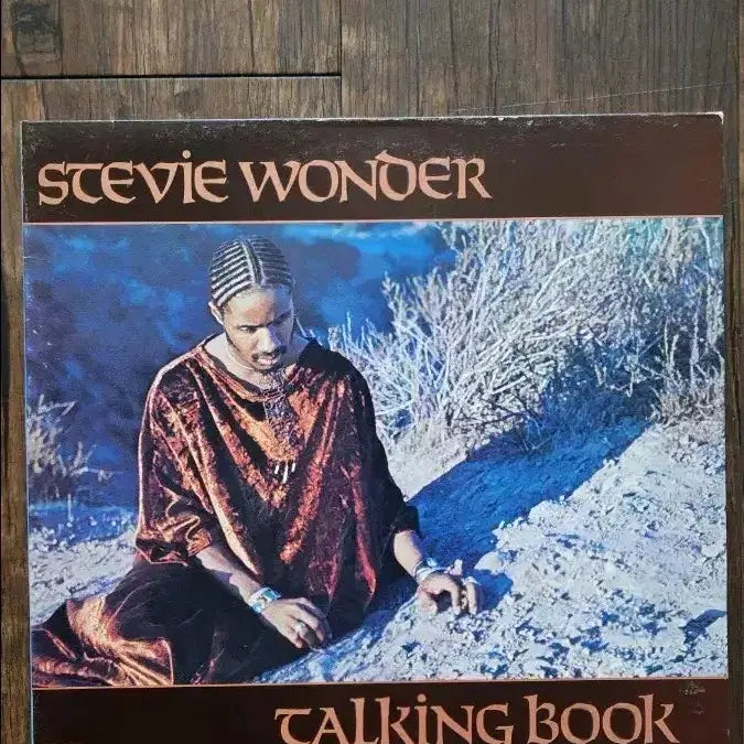 [BUNJANG] Stevie Wonder &