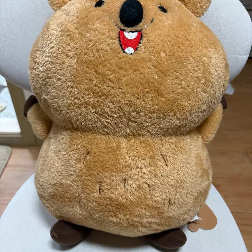 [BUNJANG] Large Quokka Plush Toy / 쿼카(뚱카)인형 대형