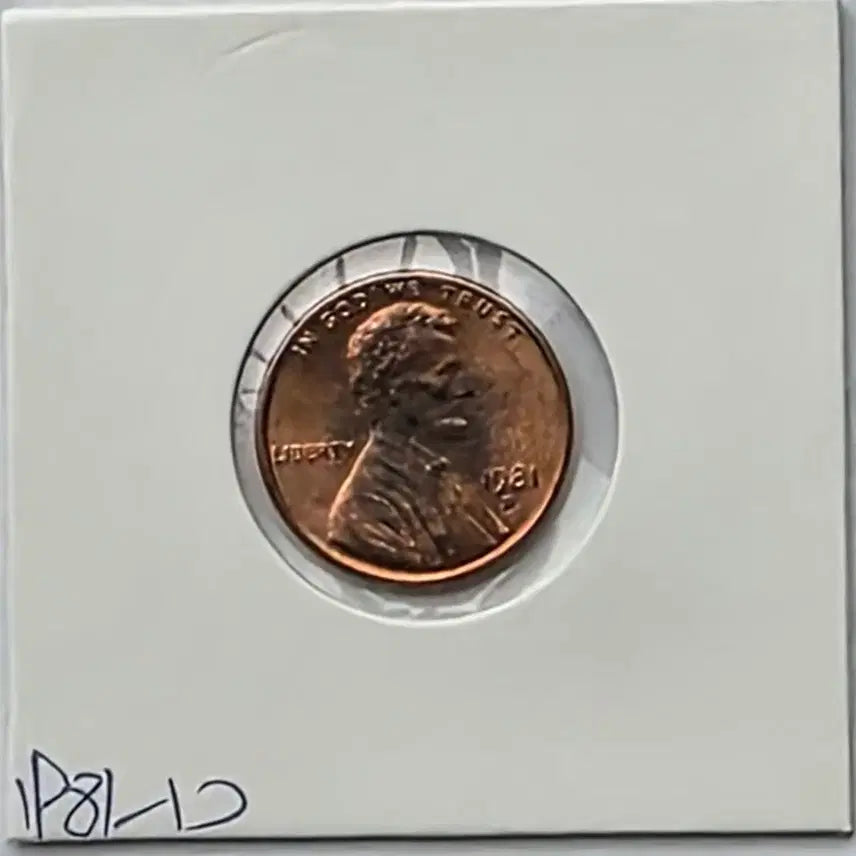 [BUNJANG] 1981-D Lincoln Cent Uncirculated Denver Penny / 링컨 1센트 1981_D 년도 미사용 덴버 페니