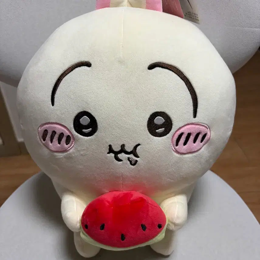 [BUNJANG] Large Usagi Plush Toy with Watermelon Prop / 우사기 인형 대형사이즈