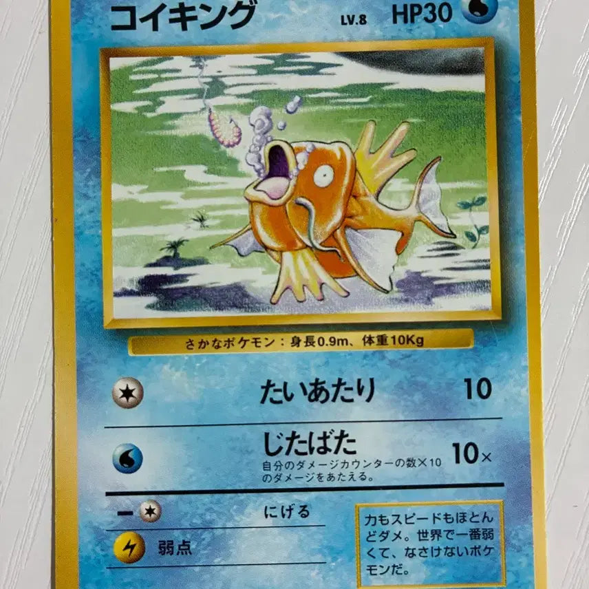 [BUNJANG] Pokemon Card 1996 Magikarp / 포켓몬카드 초기 1996 잉어킹