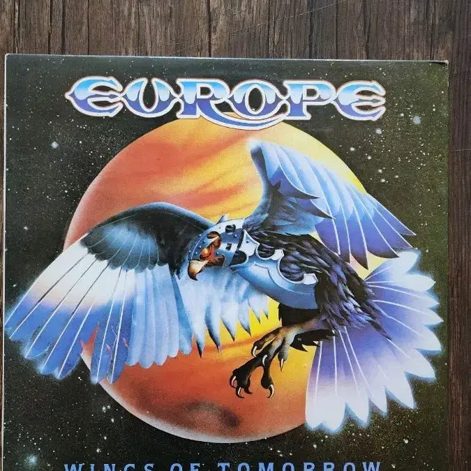 [BUNJANG] 1985 Earth Records Inner Sleeve / Europe  ex+ / nm,nm