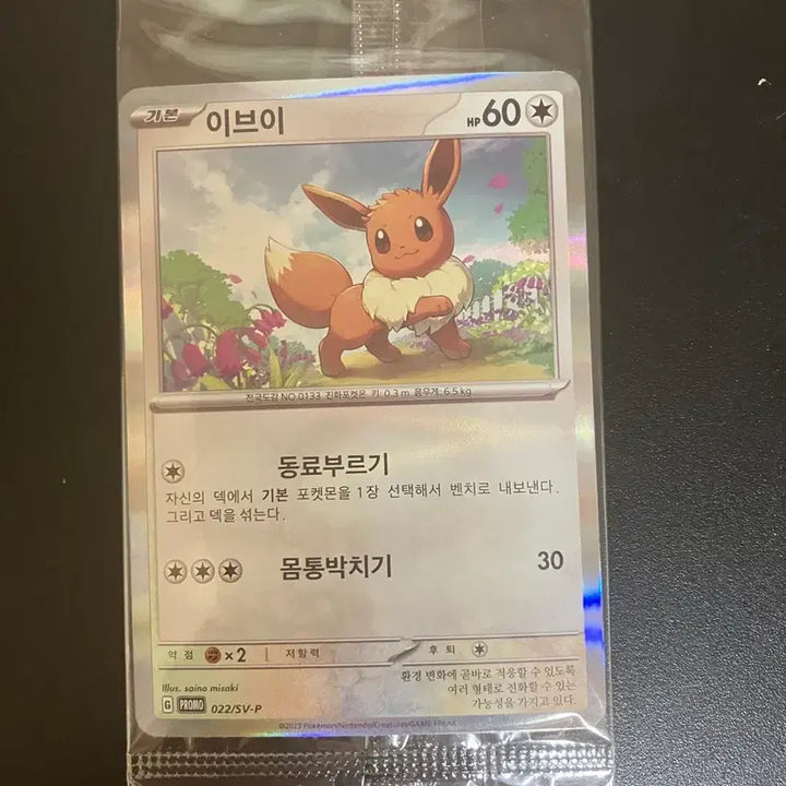[BUNJANG] Pokemon Card Eevee Promo Sealed / 포켓몬카드 이브이 프로모 미개봉