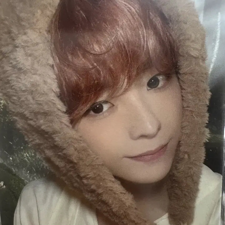 [BUNJANG] NCT WISH Yushi Japan Photocard / nctwish 엔시티 위시 유우시 일본 재팬 회지 포카 곰돌이