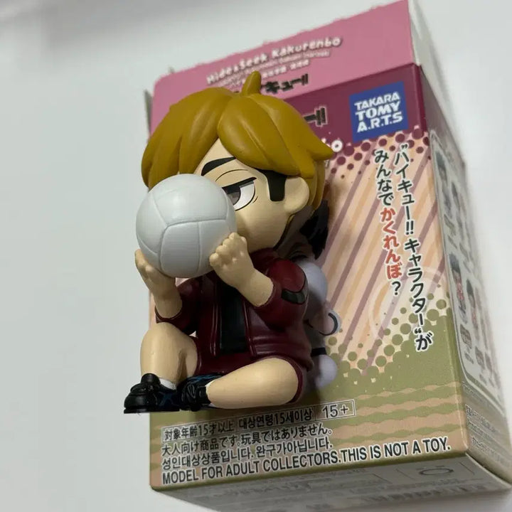 [BUNJANG] Haikyuu!! Hide &amp; Seek Osamu Miya Figure / 하이큐 숨바꼭질 피규어 아츠무