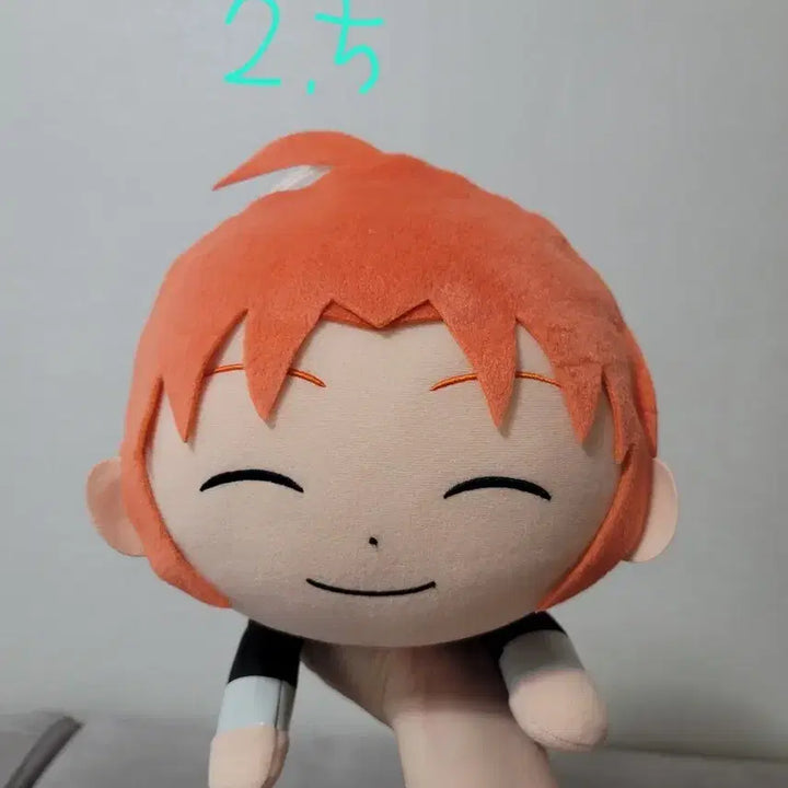 [BUNJANG] Gintama Kamui Nui Neko Nui Cushion / 은혼 카무이 누이 네코누이 쿠션 등 여러가지