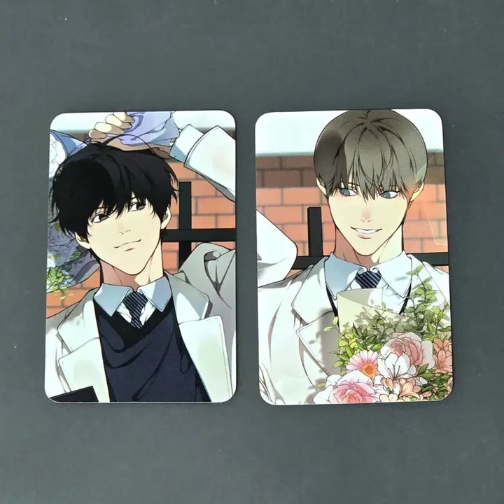 [BUNJANG] Mofun Cloud Photocard Set / 모펀 클라우드 우리가 있는 곳 세트 포토카드