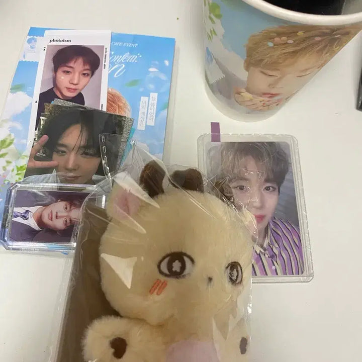 [BUNJANG] Sosome (소심이) Sealed Doll, Unofficial Merch, and 1st Generation Fanclub Photocard Bundle Set / 소심이 미개봉 및 비공굿 및 팬클럽 1기 포카